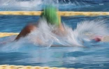 Natation