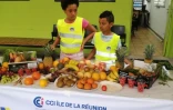 Marché péi pour les enfants à Saint Denis