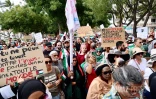 Rassemblement pour la paix en Palestine