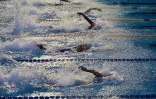 Championnat de natation de La Réunion