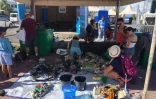 Goodbye Plastic, association nautique de Saint-Pierre, bouteille de lait, déchet, opération nettoyage