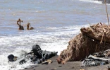 Cyclone Garance voituresdans la mer 