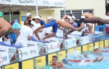 Meeting natation 2015