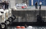 Le port