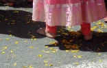 Cavadee de Saint-Denis