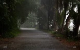 fortes pluies dans l'est