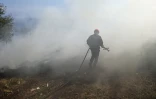 Les Avirons: Incendie la lisière de la forêt domaniale 
