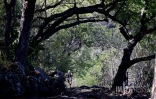Grand raid 2025