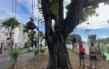 Saint-Denis : les travaux de la médiathèque du Chaudron démarrent