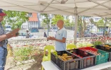 Saint-Pierre : le 3ᵉ marché social de l'entraide a été organisé