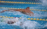 Championnat de natation de La Réunion
