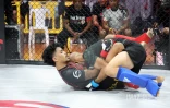 MMA à Saint-Denis