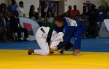 Judo 
