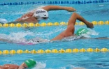 meeting natation 2017