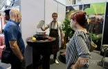 salon de la maison 2024