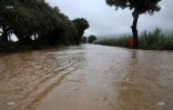 La ravine Goyave est en crue le 24 janvier 2020