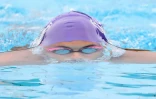 meeting natation 2017
