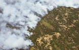 Feu du Maïdo