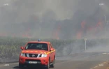 Feu de cannes à Sainte-Suzanne 31 août 2016