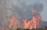 Incendie du Maïdo 8 novembre 2020