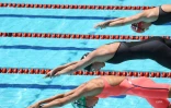 natation 
