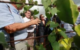 Manuel Valls en visite à La Réunion