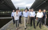 Fillon Réunion