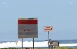 panneaux requins baignade interdite 
