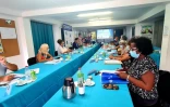commission consultative