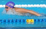 Natation