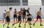 Equipe de france de perche
