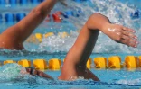 natation 