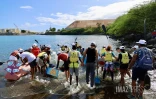 Régate bateaux en carton au Port