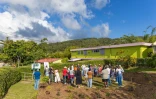 Saint-Denis : inauguration d'un arboretum au cœur du Brûlé