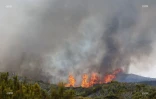 Incendie au Maïdo : la fumée visible de loin 