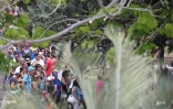 Grand Raid