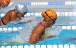 Natation