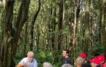 Les Suisses de La Réunion ont fêté le 1er août, Fête nationale suisse, au cœur du Sud sauvage