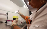  chikungunya analyse sang 