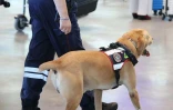Contrôle de police à l'aéroport Roland Garros
