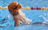 Natation comité régional Championnat hiver