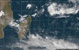 Le risque de formation d'une nouvelle tempête tropicale reste faible