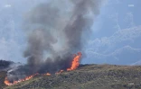 Incendie au Maïdo : la fumée visible de loin 