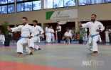 coupe karate kata 