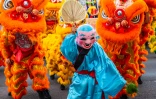 Le Département s'associe aux partenaires pour célébrer la multiculturalité réunionnaise