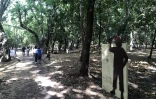 Sentier pédestre 