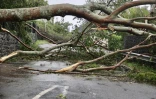 cyclone intense Batsirai 3 février 2022 la montagne