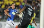Bleues vs Afrique du Sud 