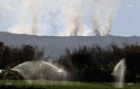 Incendie au Maïdo : la fumée visible de loin 