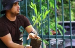 création micro-forêt Département EDF 
